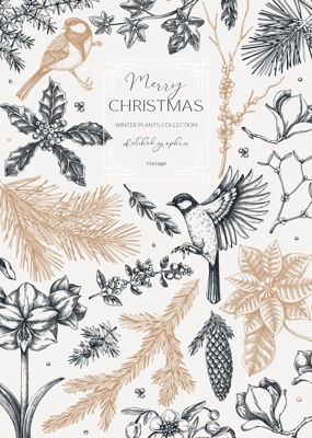 Vintage Christmas card design. Winter nature frame. Conifer trees, winter flowers, birds sketches. Hand drawn vector illustration. NOT AI generated